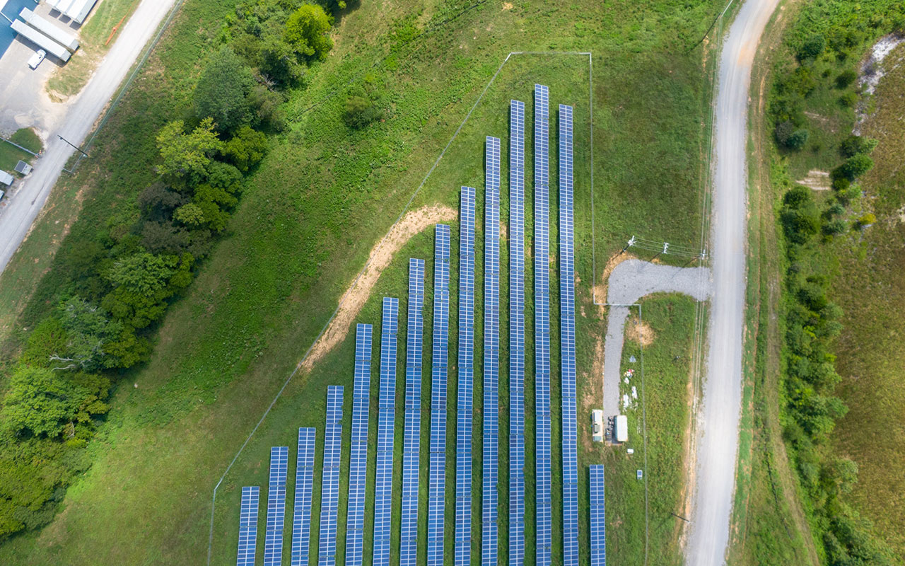 placas fotovoltaicas contribución medioambiente